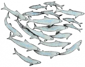 Artistry In Mosaics Bait Ball Porcelain Pool Design 10" x 13"